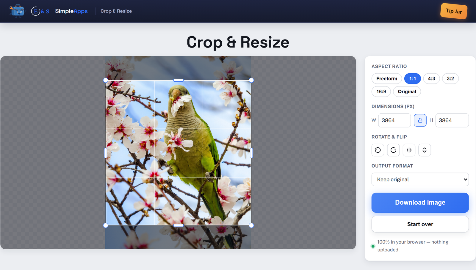 Crop & Resize running in a web browser: an image with a 1:1 aspect-ratio crop selection and rule-of-thirds guides active, exact pixel width and height fields, and rotate/flip controls, with a footer confirming nothing was uploaded.